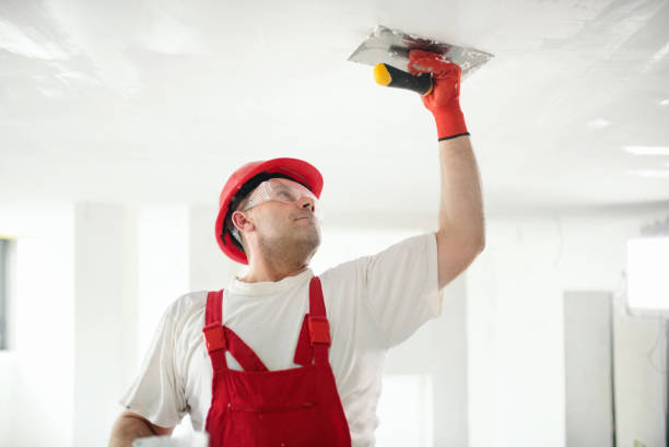 Best Mold Documentation for Insurance Claims  in Pflugerville, TX