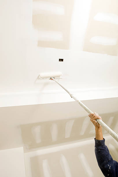 Best Real Estate Mold Inspection  in Pflugerville, TX