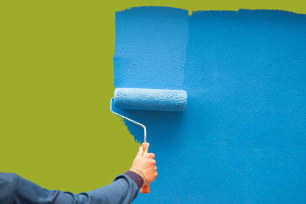 Trusted Pflugerville, TX Mold Removal Experts