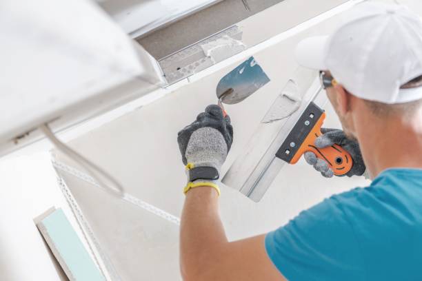 Best Environmental Consulting for Mold Prevention  in Pflugerville, TX